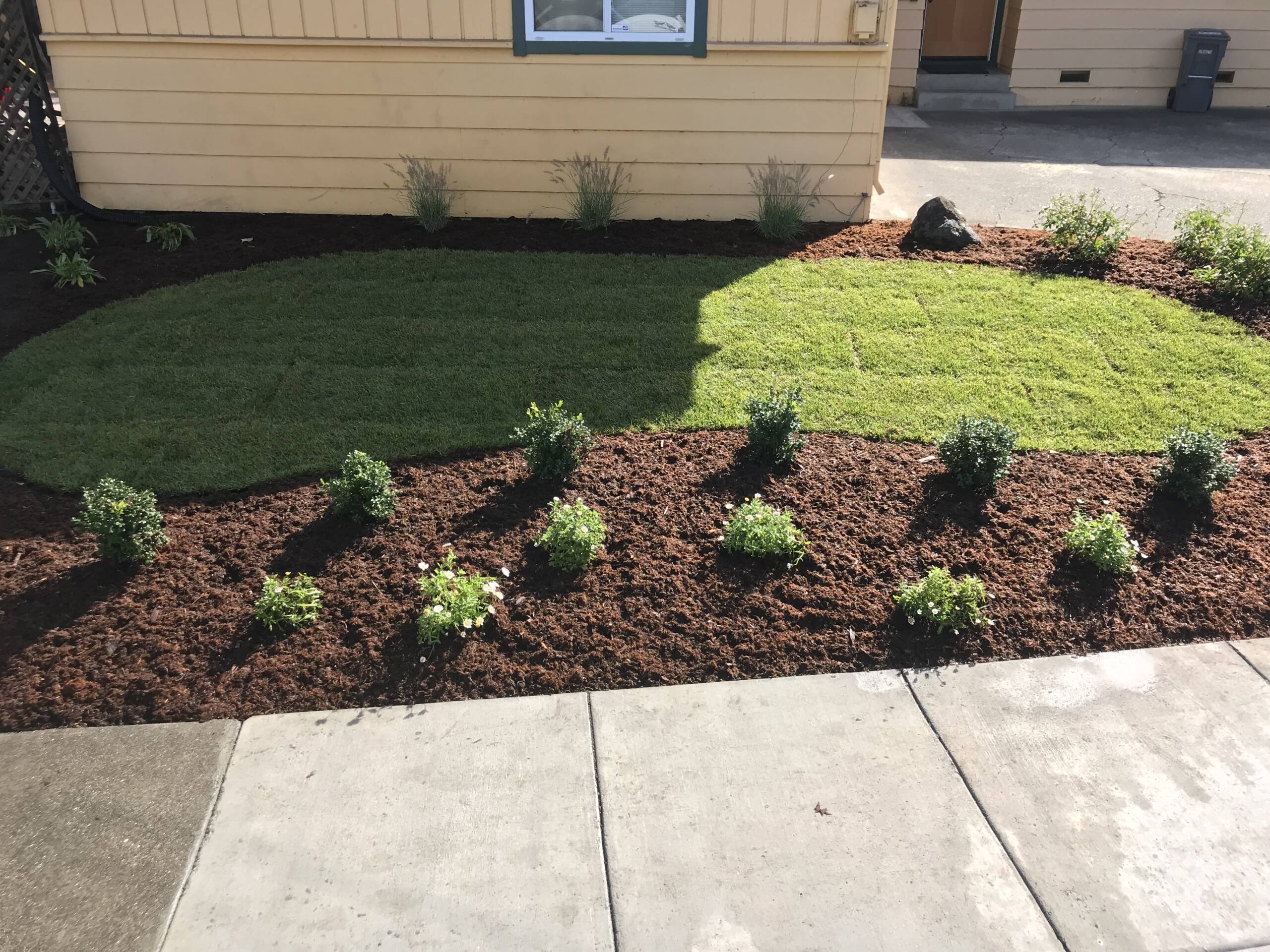 Frontyard Landscaping