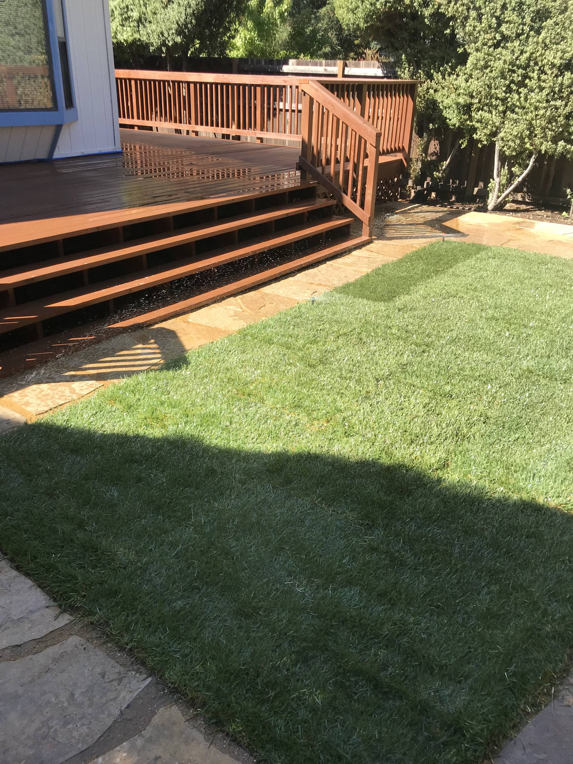 Deck Renovation