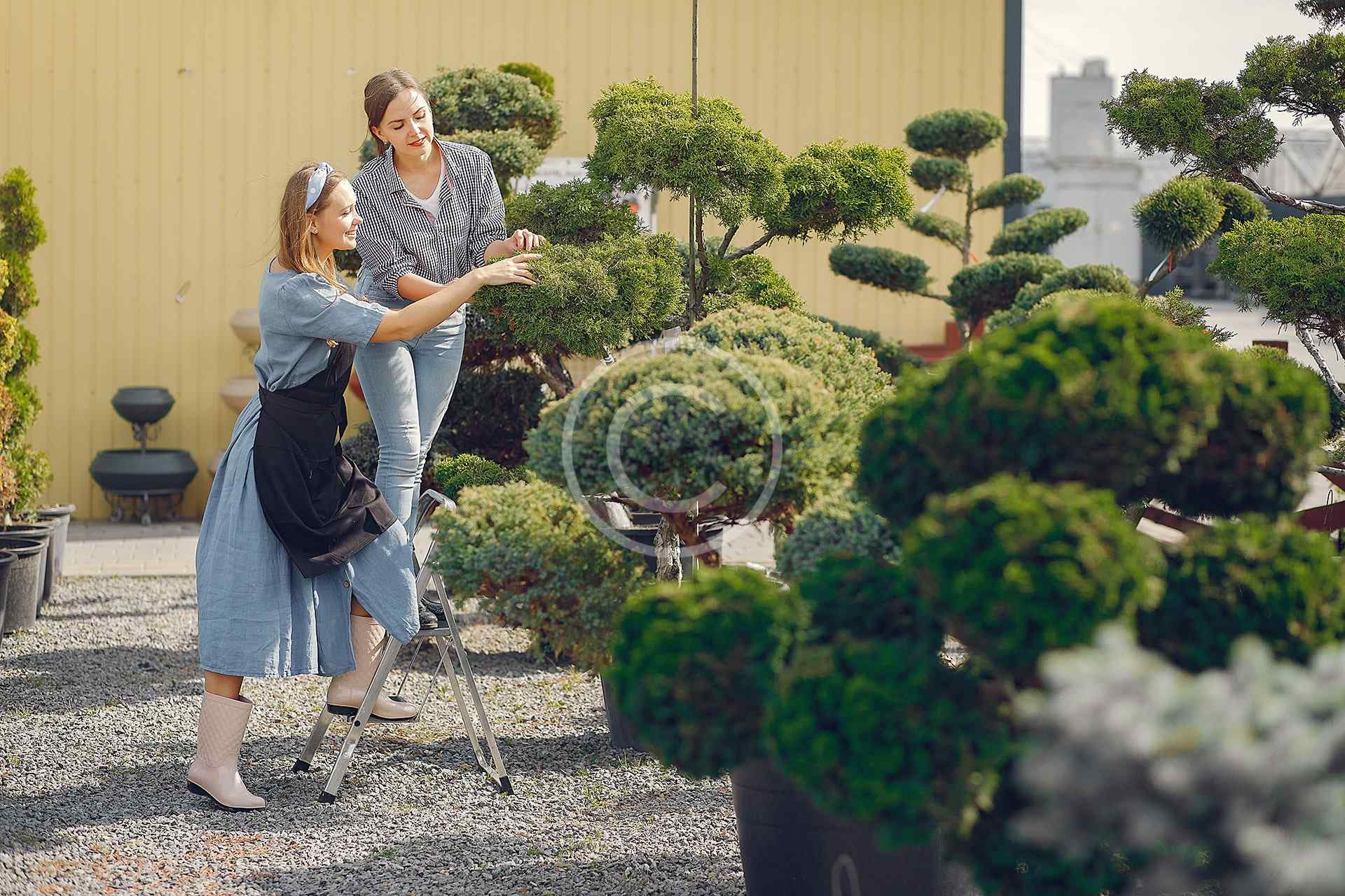 Quality craftsmanship